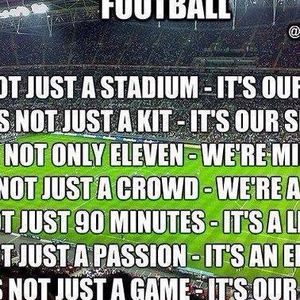 Meet your Posher, Luis